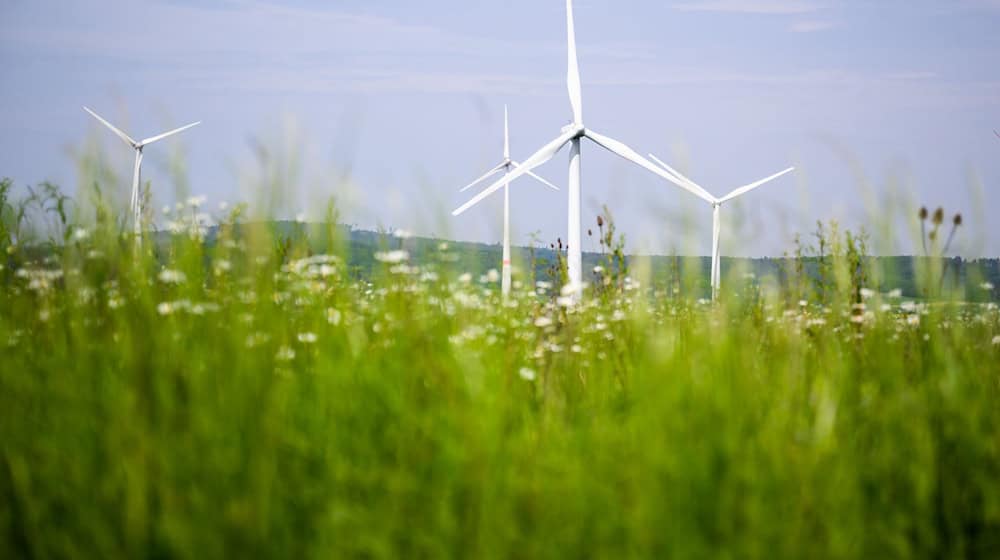 Im ersten Halbjahr wurden 53 neue Windräder in Niedersachsen gebaut. (Archivbild) / Foto: Julian Stratenschulte/dpa