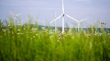 Im ersten Halbjahr wurden 53 neue Windräder in Niedersachsen gebaut. (Archivbild) / Foto: Julian Stratenschulte/dpa