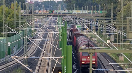 Der Güterzug hielt wegen des ungebetenen Farhrgastes außerplanmäßig an. (Illustration) / Foto: Helmut Fricke/dpa