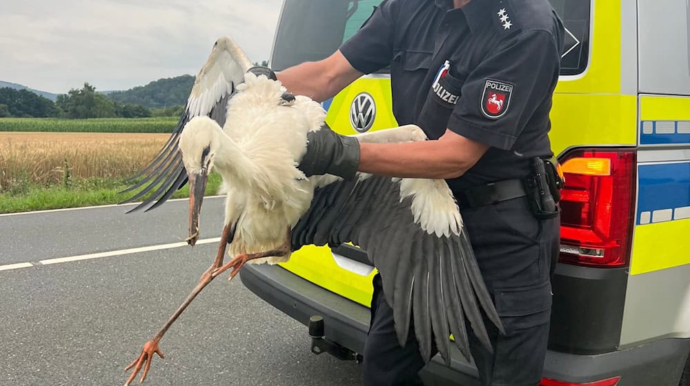 Die Polizei in Landelsheim rettet einen verletzten Storch. / Foto: -/Polizei Goslar/dpa