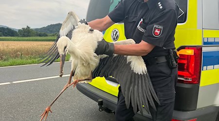 Die Polizei in Landelsheim rettet einen verletzten Storch. / Foto: -/Polizei Goslar/dpa