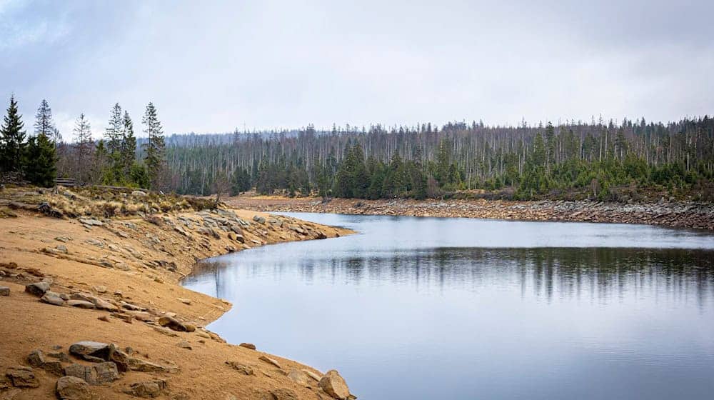 Auch der historische Stausee Oderteich ist Teil der Oberharzer Wasserwirtschaft. (Archivbild) / Foto: Moritz Frankenberg/dpa