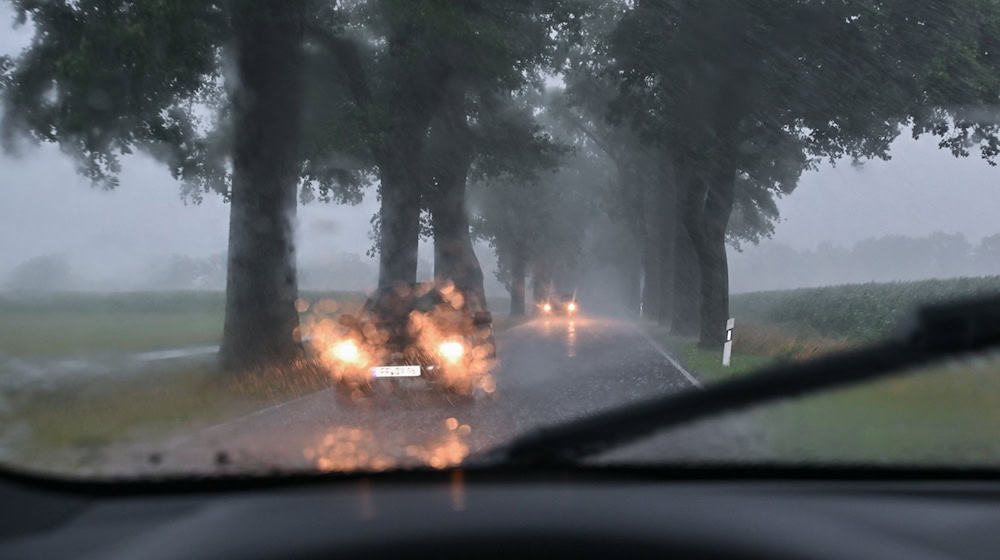 Starker Regen und Wind haben für viele Einsätze der Feuerwehren in Niedersachsen gesorgt. (Symbolfoto) / Foto: Patrick Pleul/dpa