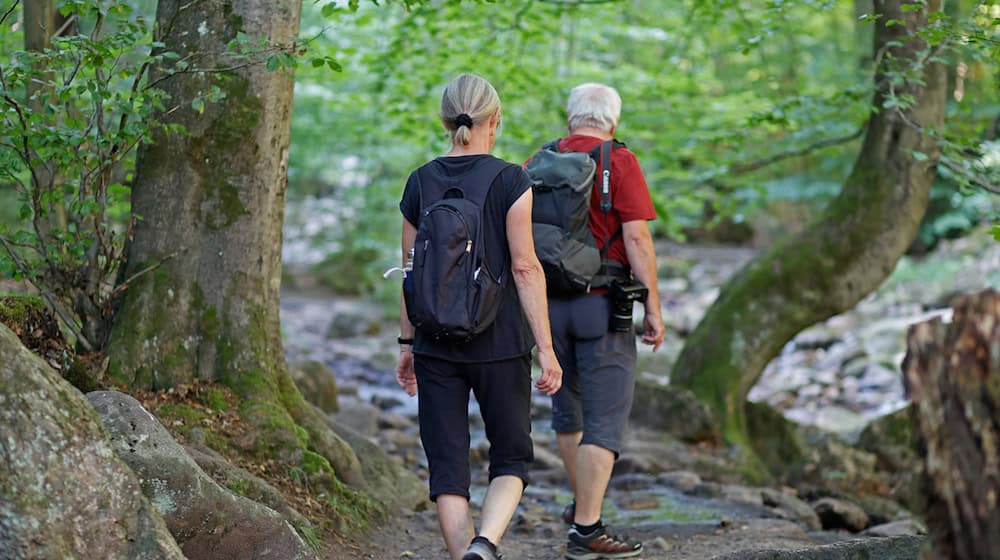 Die Sperrung eines Teilstücks des Heinrich-Heine-Weges im Ilsetal im Harz bleibt auch nach dem Abriss einer beschädigten Brücke aufrechterhalten. / Foto: Matthias Bein/dpa