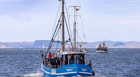 Fischkutter fahren vom Meeresarm Peenestrom auf die Ostsee. (Archivbild) / Foto: Jens Büttner/dpa