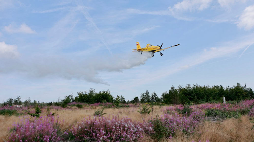 Mit einem Löschflugzeug üben Einsatzkräfte im Harz die Waldbrandbekämpfung. / Foto: Matthias Bein/dpa