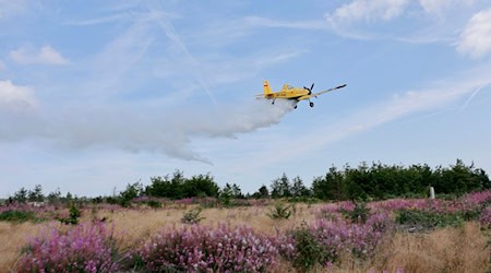 Mit einem Löschflugzeug üben Einsatzkräfte im Harz die Waldbrandbekämpfung. / Foto: Matthias Bein/dpa