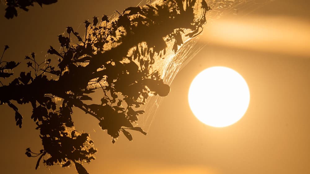 Der Deutsche Wetterdienst warnt vor Hitze im Raum Hannover. (Symbolbild) / Foto: Julian Stratenschulte/dpa