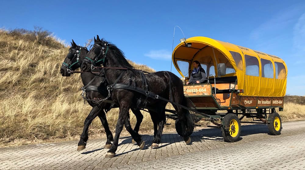 Bislang konnten Reisende auf Juist vom Flugplatz der Insel in den Ort mit einer Pferdekutsche fahren. Nun wird das Angebot eingestellt - aus wirtschaftlichen Gründen.  / Foto: -/HUF Spedition Juist/dpa