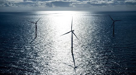 Stahlproduktion mit grünem Strom aus Windkraft - dafür haben Vattenfall und die Salzgitter AG eine Strompartnerschaft geschlossen. (Archivbild) / Foto: Sina Schuldt/dpa