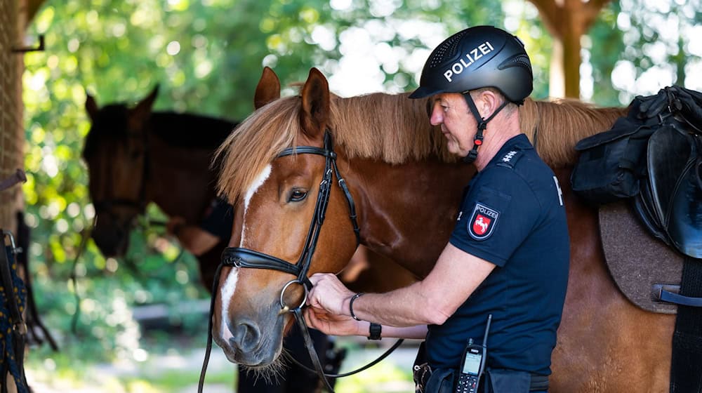 Die Polizeireiter aus Hannover achten darauf, dass sich Besucher umsichtig verhalten. / Foto: Philipp Schulze/dpa