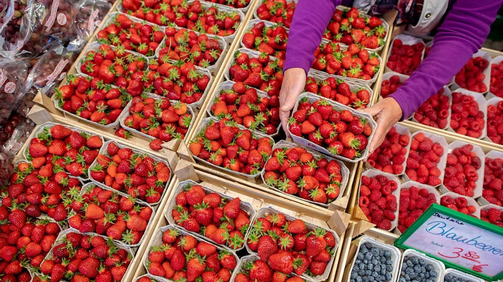 Erdbeeren vom Wochenmarkt sind beliebt - diese Saison fiel die Ernte jedoch schlechter aus als in der letzten. (Archivfoto) / Foto: Hauke-Christian Dittrich/dpa