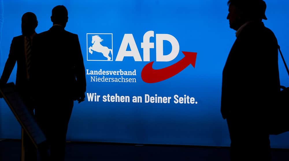 Bei der Landtagswahl 2022 kam die AfD auf 11 Prozent. (Archivbild) / Foto: Julian Stratenschulte/dpa