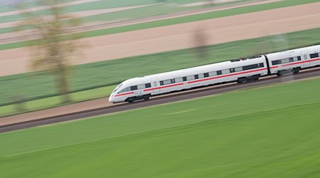 Ein umgestürzter Baum behindert den Bahnverkehr zwischen Peine und Hämelerwald. / Foto: Julian Stratenschulte/dpa