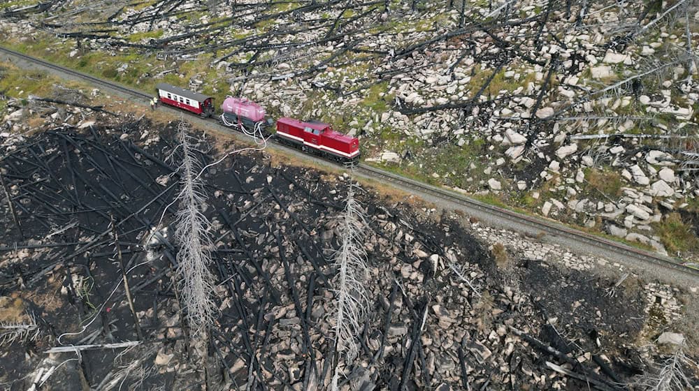 Auch am Mittwoch wurden noch kleinere Brandstellen am Königsberg im Harz gefunden. (Archivbild) / Foto: Matthias Bein/dpa