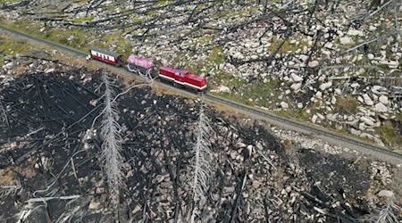 Auch am Mittwoch wurden noch kleinere Brandstellen am Königsberg im Harz gefunden. (Archivbild) / Foto: Matthias Bein/dpa