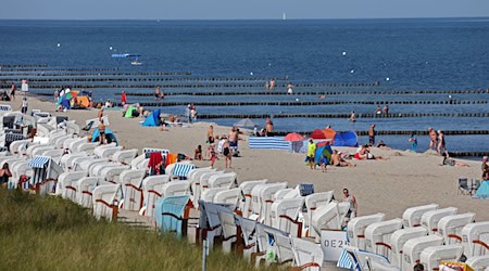 In der Ostsee wurden teils «extrem hohe Temperaturen» gemessen. (Symbolbild) / Foto: Bernd Wüstneck/dpa