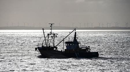 Eine Gruppe von 30 Ozeanforscherinnen und -forschern fordert eine Neudefinition nachhaltiger Fischerei. / Foto: Carsten Rehder/dpa