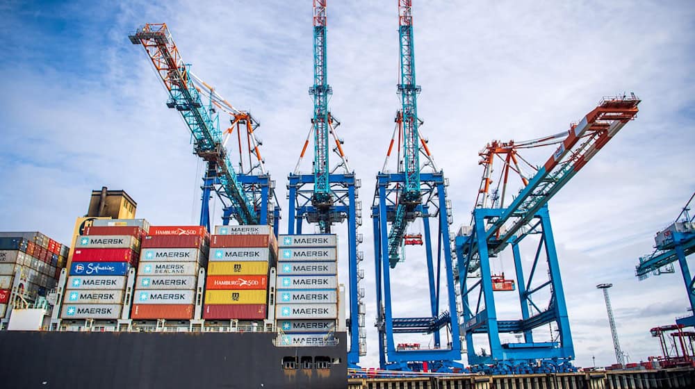 Am Containerhafen Bremerhaven sind auch einige giftige Spinnen angekommen (Archivbild) / Foto: Sina Schuldt/dpa