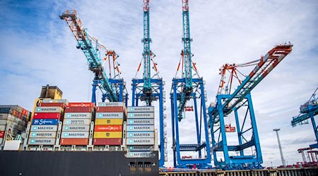 Am Containerhafen Bremerhaven sind auch einige giftige Spinnen angekommen (Archivbild) / Foto: Sina Schuldt/dpa