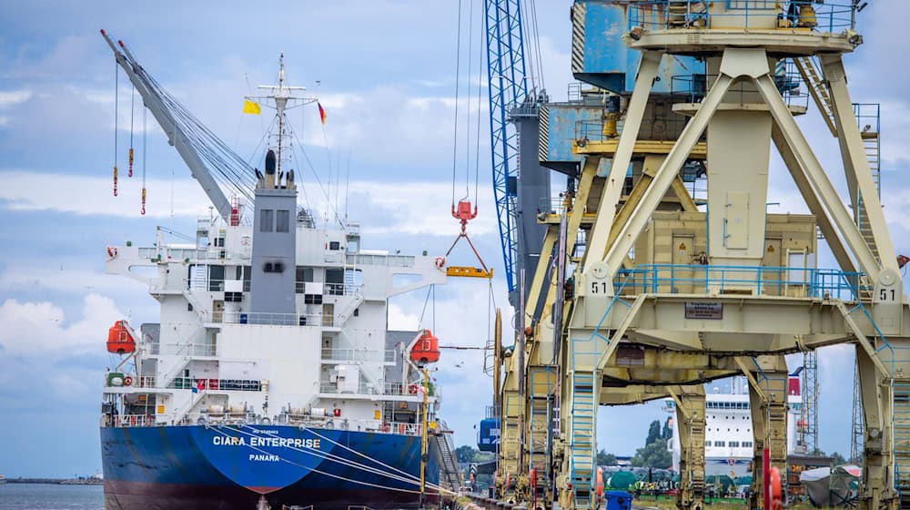 Ein Frachtschiff wird im Rostocker Seehafen beladen. (Archivbild) / Foto: Jens Büttner/dpa