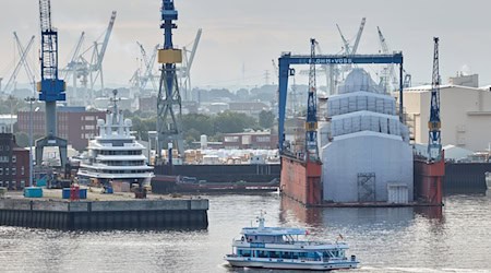 Die Werft Blohm+Voss befindet sich auf der Halbinsel Steinwerder im Hamburger Hafen. / Foto: Georg Wendt/dpa