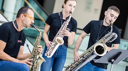 Im vergangenen Jahr hatten die Musikschulen im niedersächsischen Landtag auf ihre schwierige wirtschaftliche Lage aufmerksam gemacht. (Archivbild) / Foto: Moritz Frankenberg/dpa