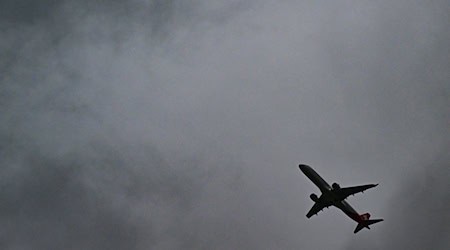 Der Pilot eines nächtlichen Flugs ist von einem Laser geblendet worden. (Symbolbild) / Foto: Bernd Weißbrod/dpa