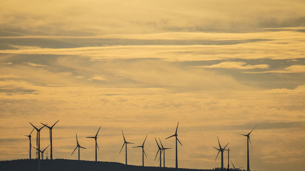 Ein Windpark steht auf einem Höhenzug. / Foto: Andreas Arnold/dpa