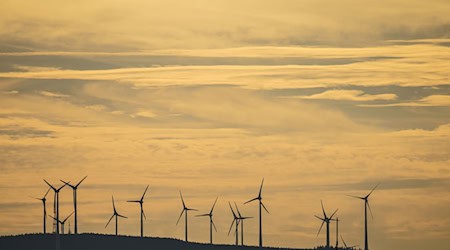 Ein Windpark steht auf einem Höhenzug. / Foto: Andreas Arnold/dpa