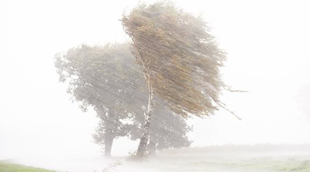 Der Deutsche Wetterdienst warnt vor schweren Sturmböen in Niedersachsen und Bremen. Es sind Windgeschwindigkeiten von über 100 Kilometern pro Stunde, möglich. (Archivfoto) / Foto: Julian Stratenschulte/dpa