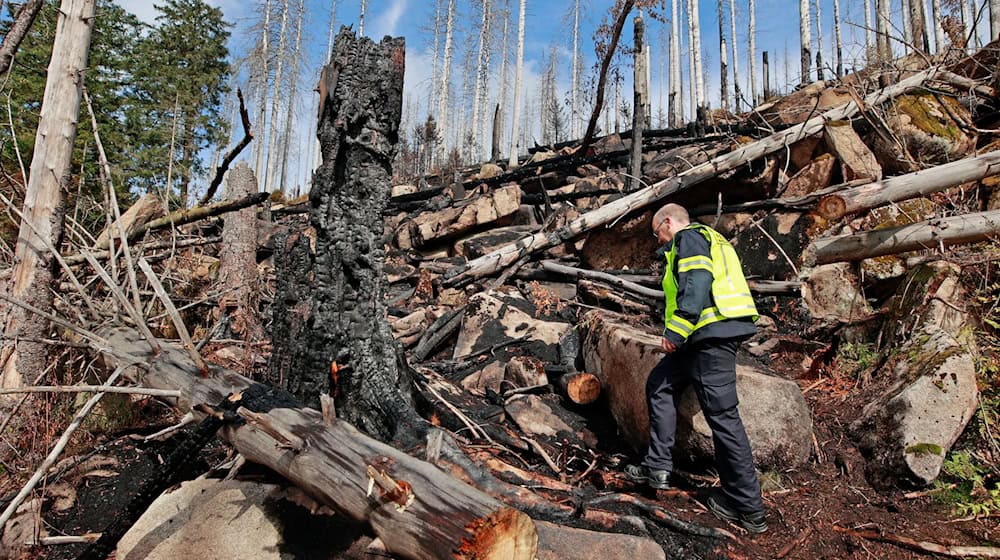 Immer wieder werden Glutnester am Brocken entdeckt. Der Einsatz der Feuerwehr ist noch nicht beendet.  / Foto: Matthias Bein/dpa