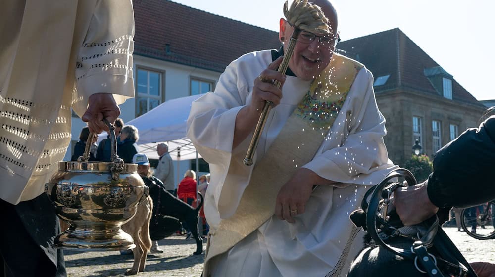 Rund 50 Hunde wurden vor dem Osnabrücker Dom gesegnet.  / Foto: Izabela Mittwollen/dpa