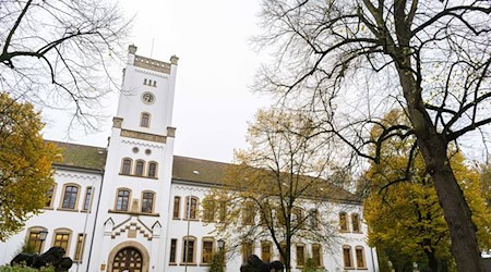 Der Angeklagte soll im Streit mit einem Messer mehrfach auf eine Frau eingestochen haben. (Symbolfoto) / Foto: Mohssen Assanimoghaddam/dpa