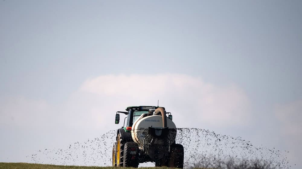 Die Landwirte sind in Sorge. Niedersachsen schaffe mit einem neuen Gesetz ein Bürokratiemonster.  / Foto: Sebastian Gollnow/dpa