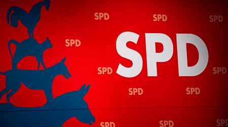 Der geplanten Strukturreform der SPD Bremen steht nichts mehr im Weg. (Archivfoto) / Foto: Sina Schuldt/dpa