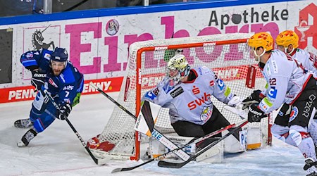 Torhüter Maximilian Franzreb (M) und Co. gelingt in der Königsklasse der Einzug in die nächste Runde. / Foto: Armin Weigel/dpa