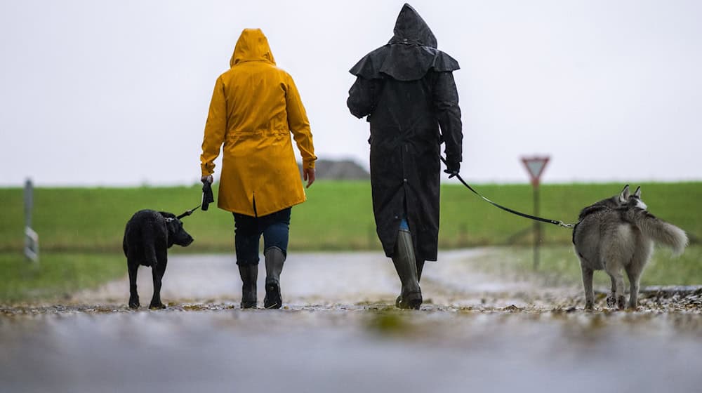 Sparziergänger mit Hund sollten im Landkreis Cloppenburg besonders aufpassen, rät die Polizei. (Symbolbild) / Foto: Mohssen Assanimoghaddam/dpa/dpa-tmn