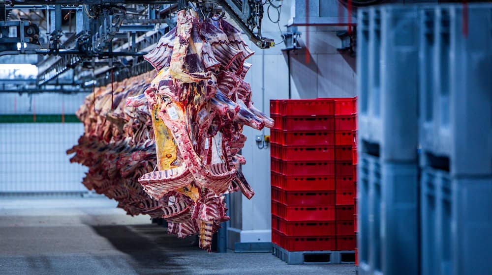 Der Schlachthof wurde am Montag zunächst geschlossen. (Symbolbild) / Foto: Jens Büttner/dpa