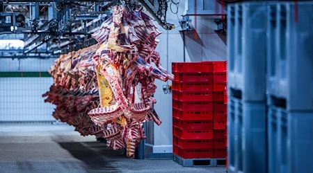 Der Schlachthof wurde am Montag zunächst geschlossen. (Symbolbild) / Foto: Jens Büttner/dpa