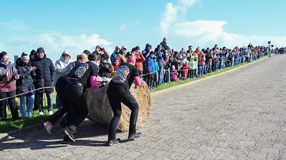 Teams kämpfen um den Titel «Strohballen-Rollmeister 2024». / Foto: Lars Penning/dpa