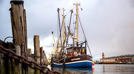 In Cuxhaven fand die 2. Norddeutsche Fischereikonferenz statt.  / Foto: Sina Schuldt/dpa