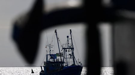 Grundschleppnetze sind Fanggeräte, die für das Fischen am Meeresboden oder in Bodennähe konzipiert sind. (Symbolbild) / Foto: Frank Molter/dpa