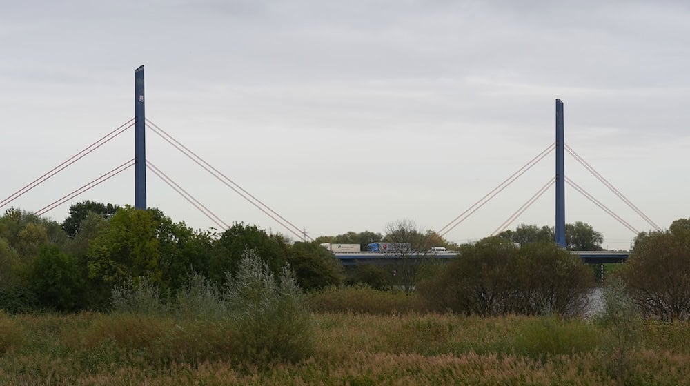 Die gut 60 Jahre alte Norderelbbrücke ist sicher, bekräftigt das Bundesverkehrsministerium. / Foto: Marcus Brandt/dpa