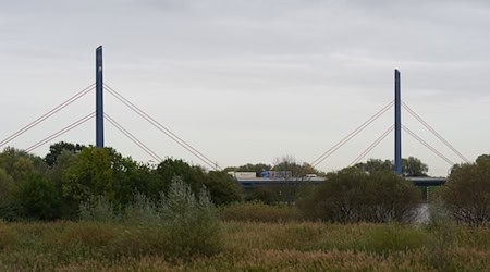 Die gut 60 Jahre alte Norderelbbrücke ist sicher, bekräftigt das Bundesverkehrsministerium. / Foto: Marcus Brandt/dpa