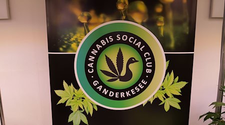 Im niedersächsischen Ganderkesee gibt ein Anbauverein das erste selbst angebaute Cannabis an seine Mitglieder aus. (Archivbild) / Foto: Jörn Hüneke/dpa