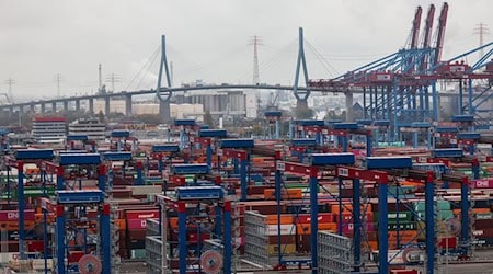 Container lagern auf dem Containerterminal Burchardkai im Hamburger Hafen.  / Foto: Christian Charisius/dpa