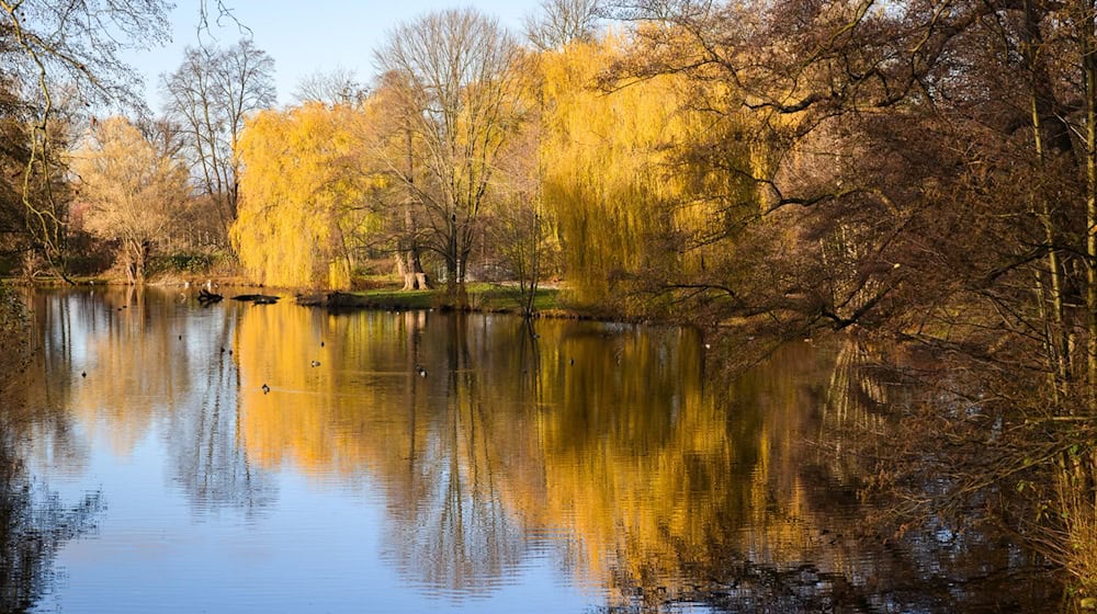 Der Herbst 2024 war in Niedersachsen und Bremen erneut zu warm. / Foto: Julian Stratenschulte/dpa