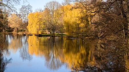 Der Herbst 2024 war in Niedersachsen und Bremen erneut zu warm. / Foto: Julian Stratenschulte/dpa