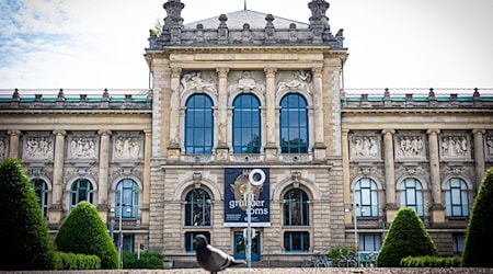 Auch das Landesmuseum Hannover untersucht mögliche koloniale Raubgüter aus Indonesien. (Archivbild) / Foto: Moritz Frankenberg/dpa